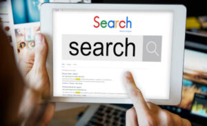 google search results for hospice site