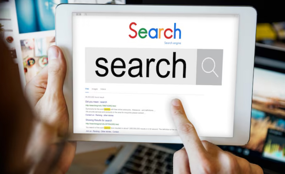 google search results for hospice site